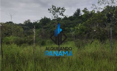 Se Vende Terreno 22,735Mts USD170,000,/San Carlos La Ermita