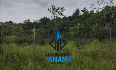 Se Vende Terreno 22,735Mts USD170,000,/San Carlos La Ermita