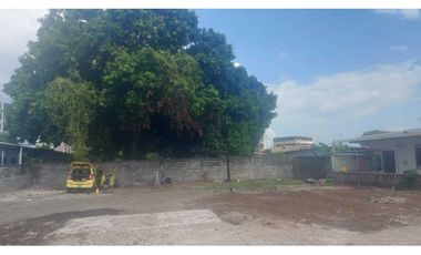 Se alquila terreno plano de 900 mts en Parque Lefevre $2,750