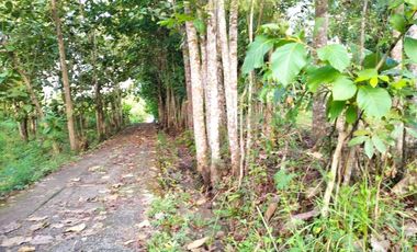 rumah kavling nanggulan ready 5 unit shm imb
