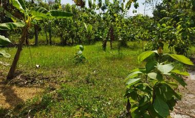 rumah kavling nanggulan ready 5 unit shm imb