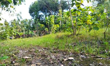rumah kavling nanggulan ready 5 unit shm imb