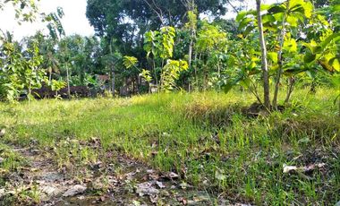 rumah kavling nanggulan ready 5 unit shm imb