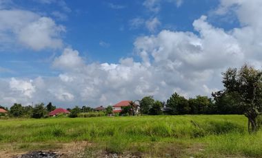 Land for sale in Ton Pao, Chiang Mai