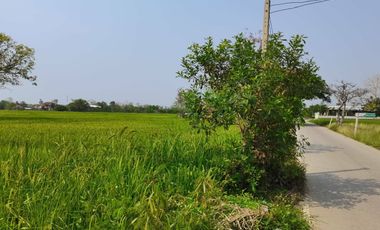 Land for sale in Ton Pao, Chiang Mai