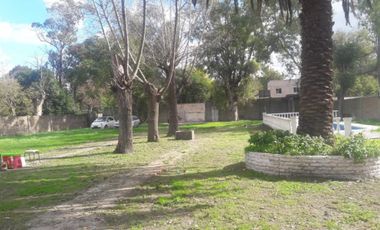 GLEW - ARDOHAIN 400 - QUINTA