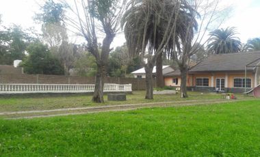 GLEW - ARDOHAIN 400 - QUINTA