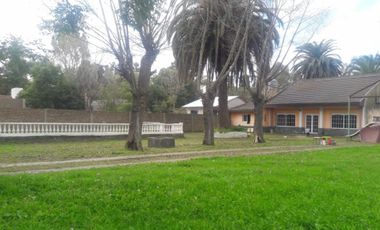 GLEW - ARDOHAIN 400 - QUINTA