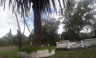 GLEW - ARDOHAIN 400 - QUINTA