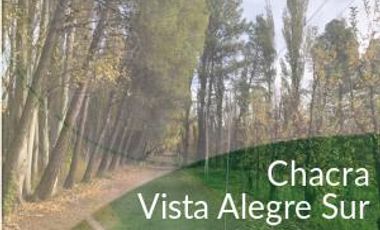 Venta chacra 11,5 hectáreas en Vista Alegre Neuquén