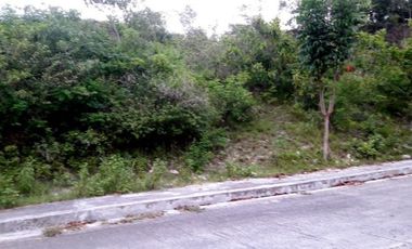 257 Sqm Affordable Residential Lot for Sale in Consolacion Cebu with High End Amenities