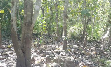 DIJUAL COTTAGE PANTAI LAKEY JAMBU PAJO SUMBAWA, NTB