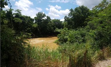 VENTA FINCA EN PENONOME NATA -  LA FORTALEZA