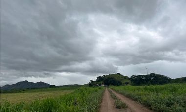 VENTA FINCA EN PENONOME NATA -  LA FORTALEZA