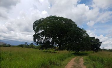 VENTA FINCA EN PENONOME NATA -  LA FORTALEZA