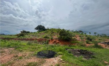 VENTA FINCA EN PENONOME NATA -  LA FORTALEZA