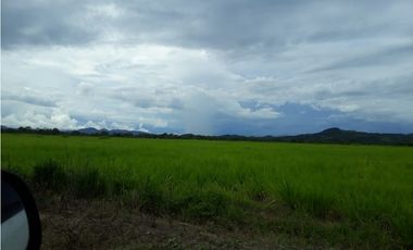 VENTA FINCA EN PENONOME NATA -  LA FORTALEZA
