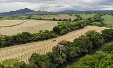 VENTA FINCA EN PENONOME NATA -  LA FORTALEZA