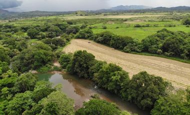 VENTA FINCA EN PENONOME NATA -  LA FORTALEZA