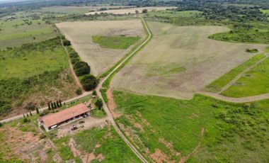 VENTA FINCA EN PENONOME NATA -  LA FORTALEZA