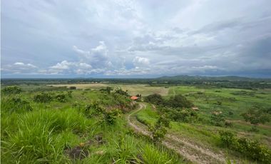VENTA FINCA EN PENONOME NATA -  LA FORTALEZA