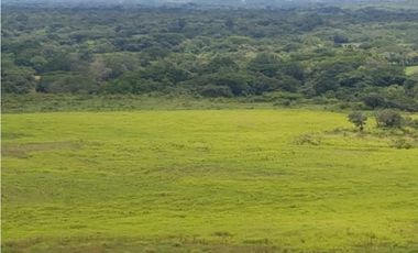 VENTA FINCA EN PENONOME NATA -  LA FORTALEZA