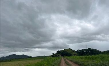 VENTA FINCA EN PENONOME NATA -  LA FORTALEZA