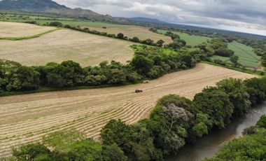 VENTA FINCA EN PENONOME NATA -  LA FORTALEZA