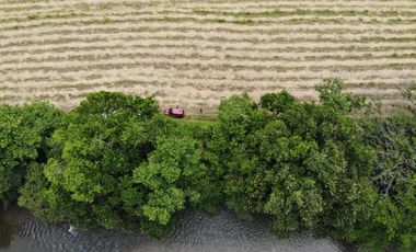 VENTA FINCA EN PENONOME NATA -  LA FORTALEZA