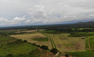VENTA FINCA EN PENONOME NATA -  LA FORTALEZA