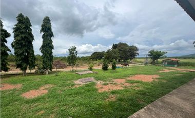 VENTA FINCA EN PENONOME NATA -  LA FORTALEZA