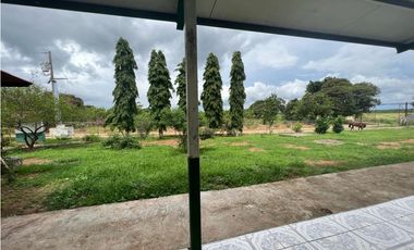 VENTA FINCA EN PENONOME NATA -  LA FORTALEZA