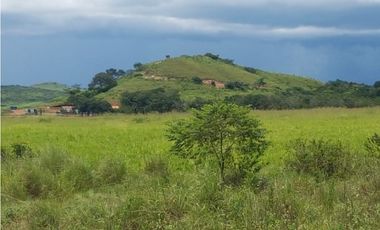 VENTA FINCA EN PENONOME NATA -  LA FORTALEZA