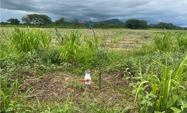 VENTA FINCA EN PENONOME NATA -  LA FORTALEZA