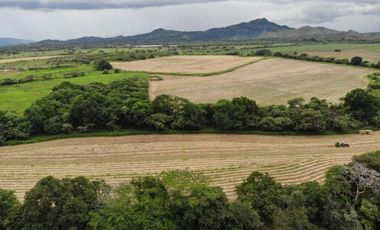 VENTA FINCA EN PENONOME NATA -  LA FORTALEZA
