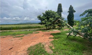 VENTA FINCA EN PENONOME NATA -  LA FORTALEZA