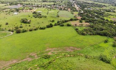 VENTA FINCA EN PENONOME NATA -  LA FORTALEZA