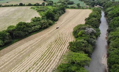VENTA FINCA EN PENONOME NATA -  LA FORTALEZA