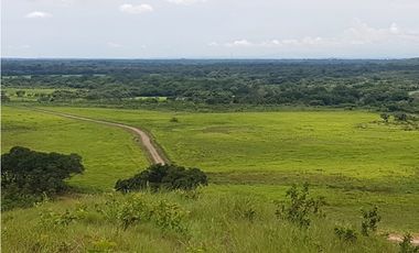 VENTA FINCA EN PENONOME NATA -  LA FORTALEZA