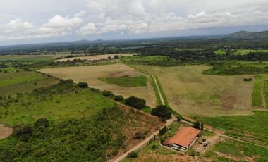 VENTA FINCA EN PENONOME NATA -  LA FORTALEZA