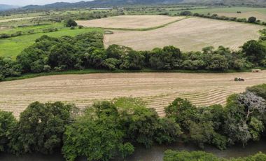 VENTA FINCA EN PENONOME NATA -  LA FORTALEZA