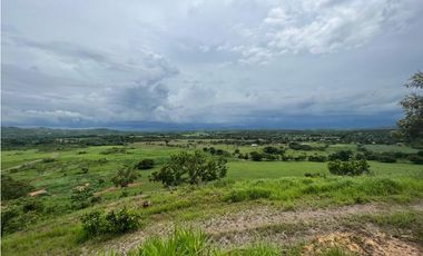 VENTA FINCA EN PENONOME NATA -  LA FORTALEZA
