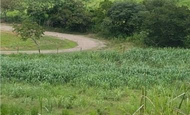 VENTA FINCA EN PENONOME NATA -  LA FORTALEZA