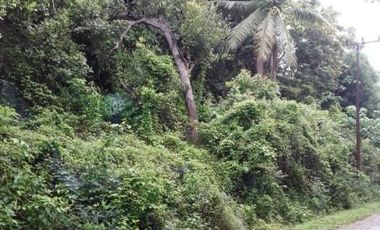 Tanah abeli strategis dekat pelabuhan bungkutoko dan terminal konteiner pelindo 4 kota kendari