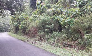 Tanah abeli strategis dekat pelabuhan bungkutoko dan terminal konteiner pelindo 4 kota kendari