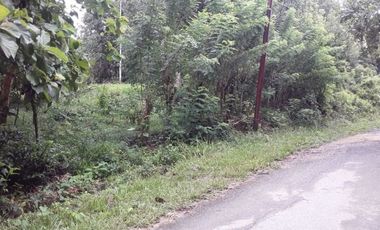 Tanah abeli strategis dekat pelabuhan bungkutoko dan terminal konteiner pelindo 4 kota kendari