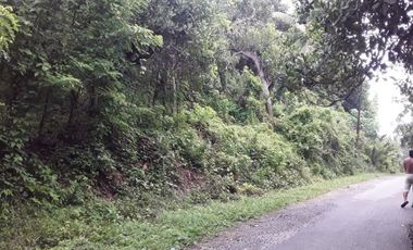 Tanah abeli strategis dekat pelabuhan bungkutoko dan terminal konteiner pelindo 4 kota kendari