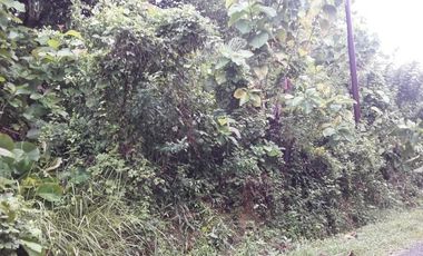 Tanah abeli strategis dekat pelabuhan bungkutoko dan terminal konteiner pelindo 4 kota kendari