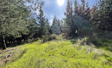 Parcela en Venta en Alto Colorado