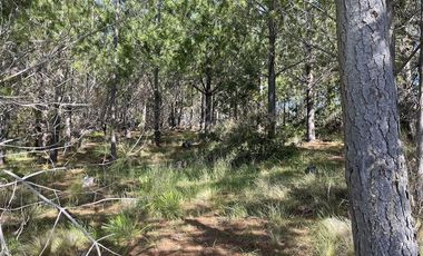 Parcela en Venta en Alto Colorado